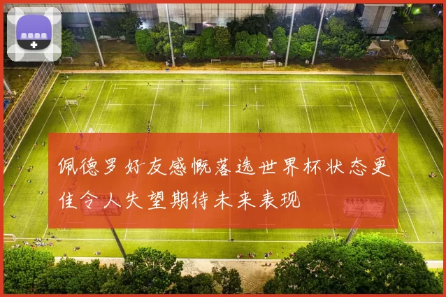 佩德罗好友感慨落选世界杯状态更佳令人失望期待未来表现